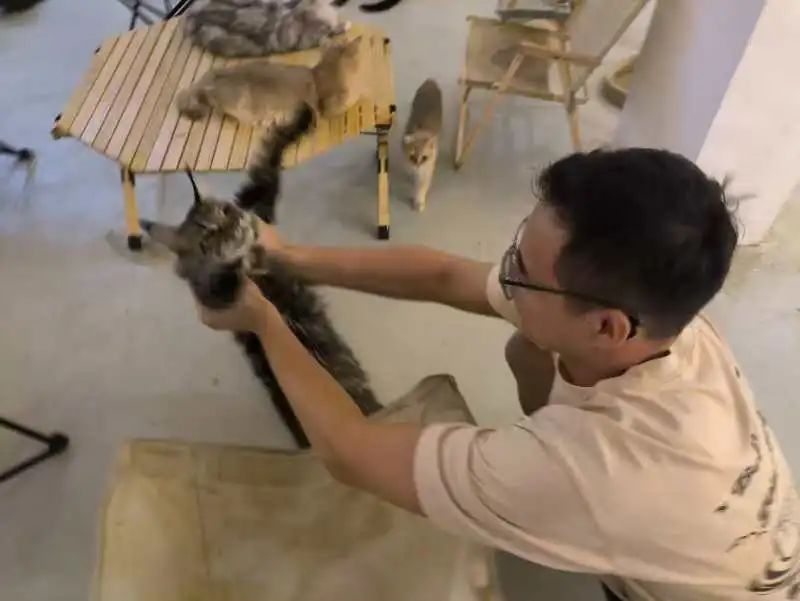 图片 2