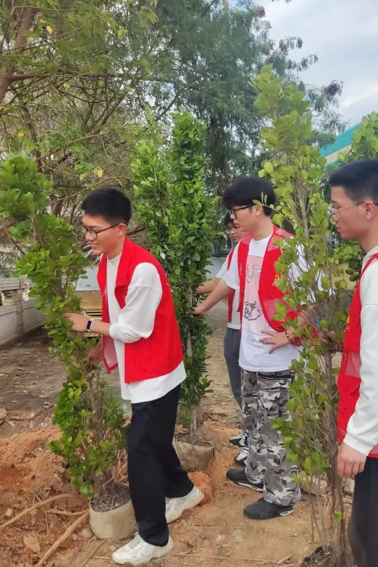 图片 4