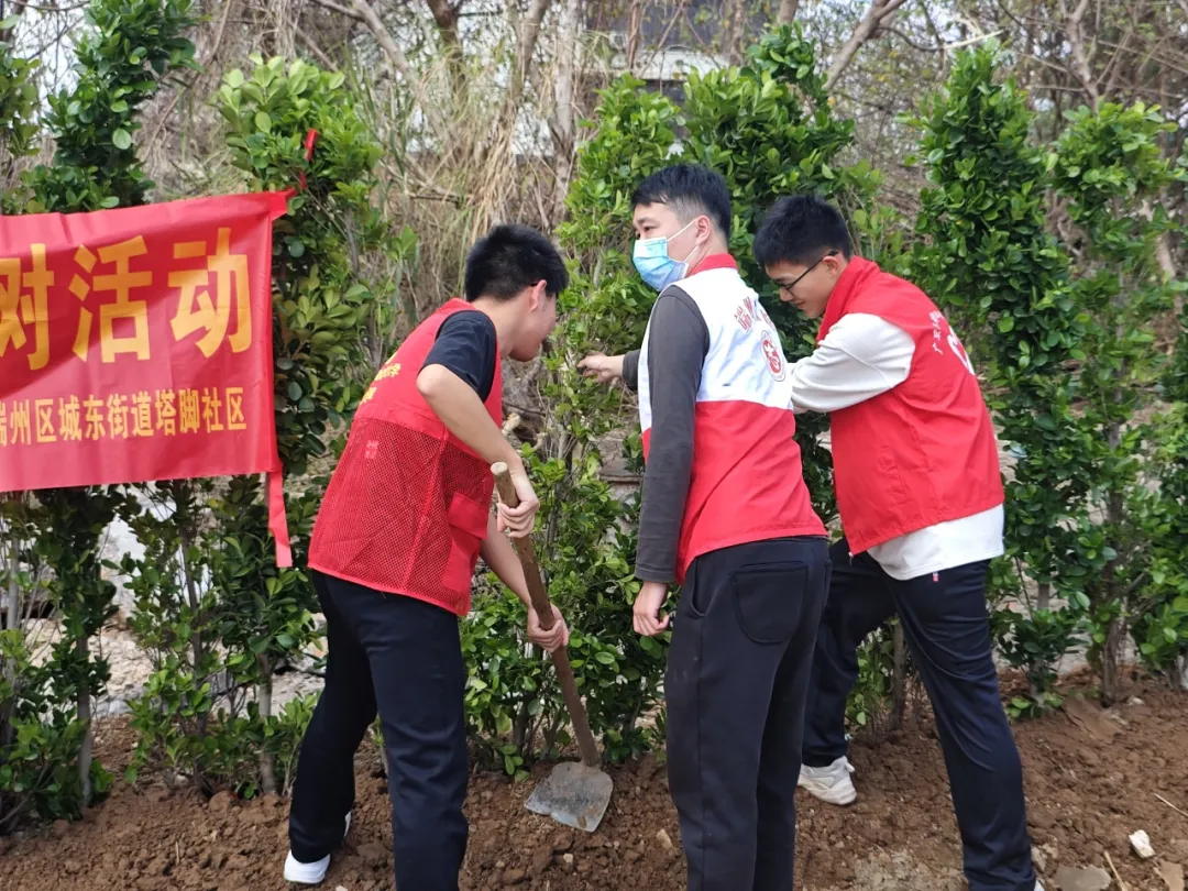 图片 7